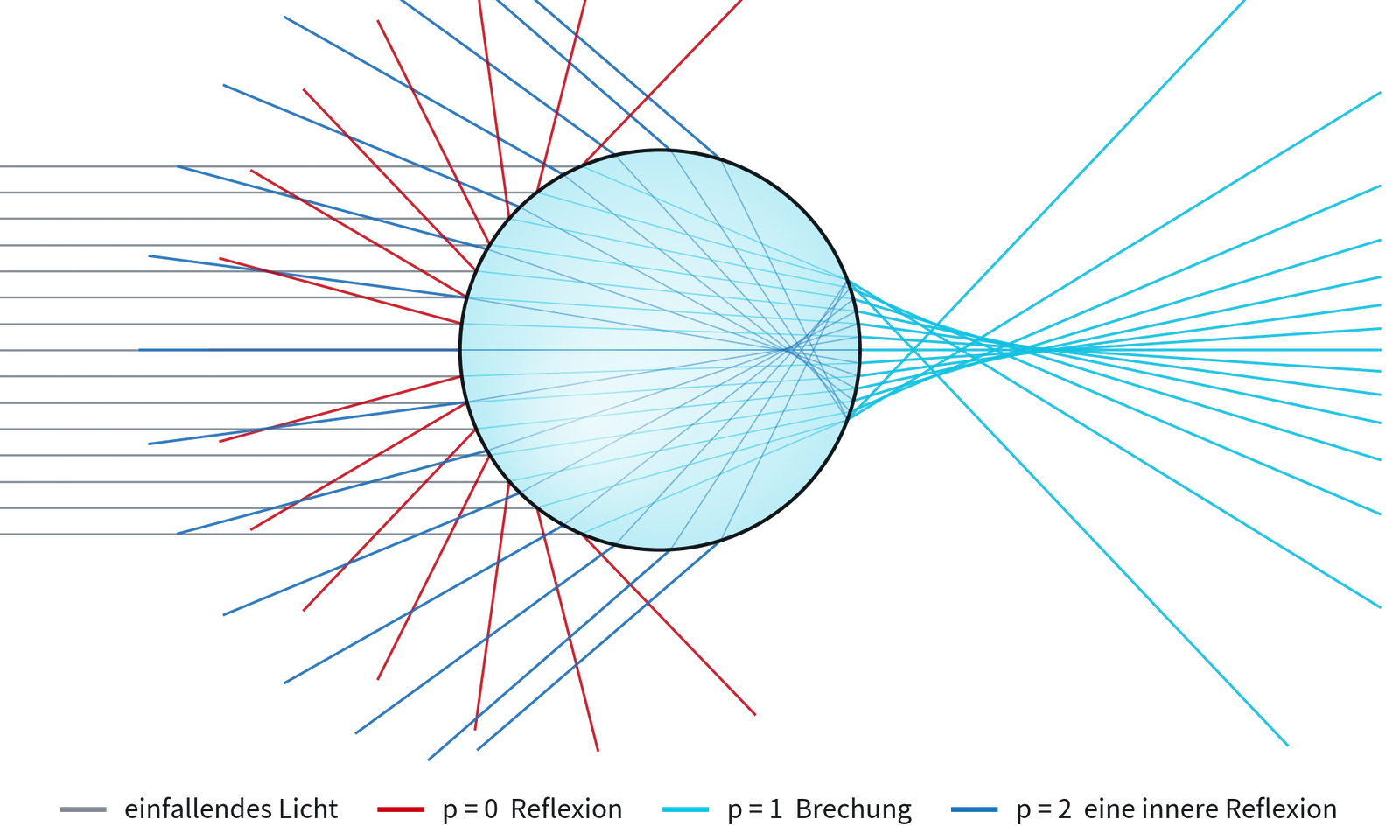 Raytracing der Lichtstreuung an einem Tropfen