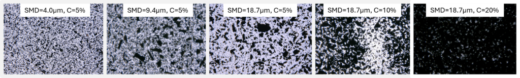 Particle Probs for ParticleTensorAI